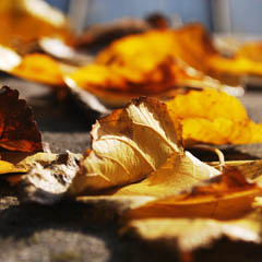 无缝服务升级的ddos流量攻击购买